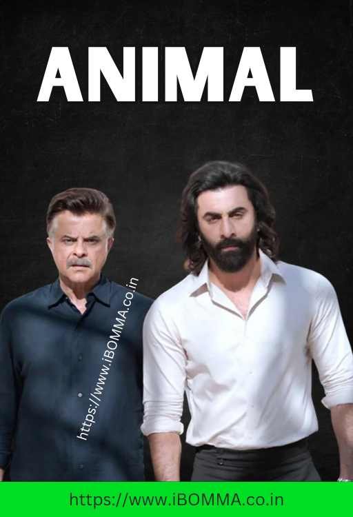 Animal movie review ibomma